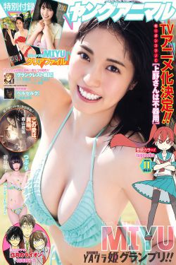 最美情侣2019中文版